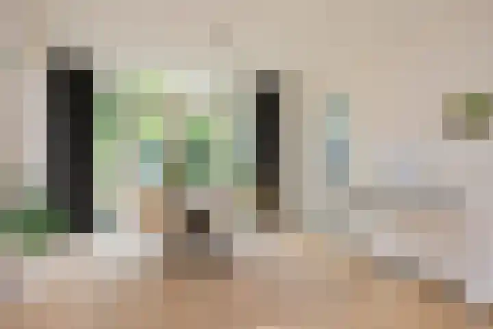 Sweelincklaan 80 Arnhem thumbnail 12