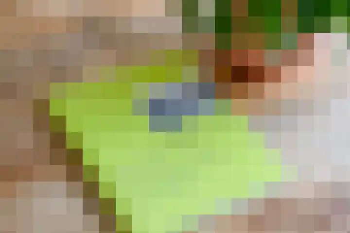 Sweelincklaan 80 Arnhem thumbnail 16
