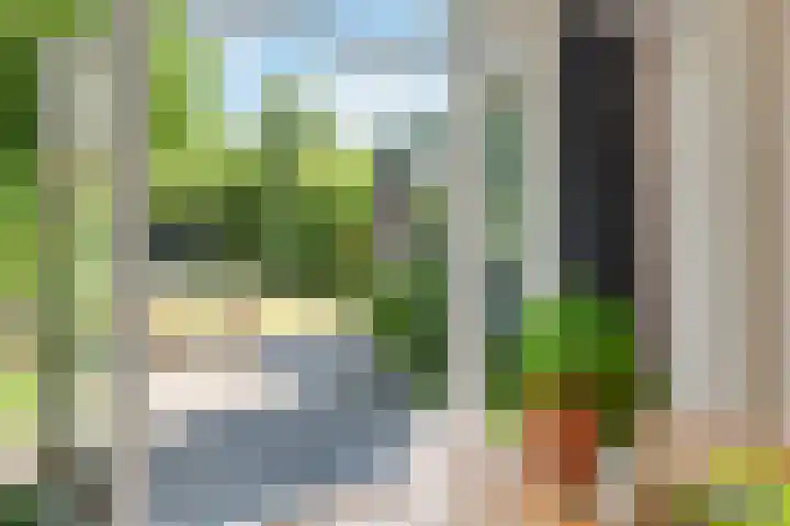 Sweelincklaan 80 Arnhem thumbnail 24