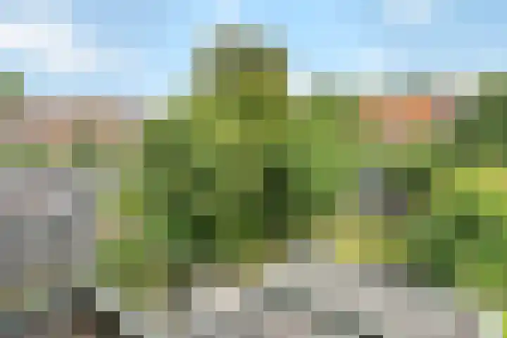 Sweelincklaan 80 Arnhem thumbnail 38