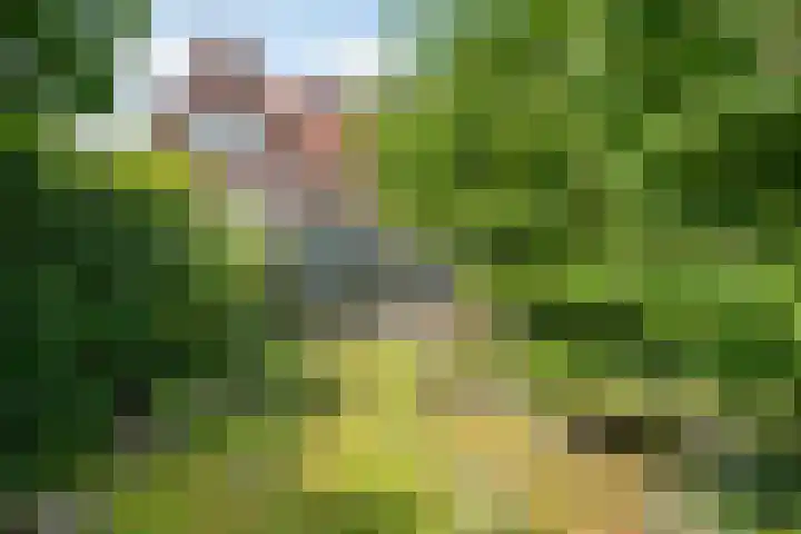 Sweelincklaan 80 Arnhem thumbnail 56