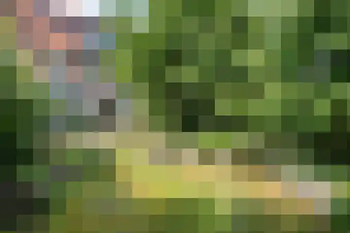 Sweelincklaan 80 Arnhem thumbnail 57