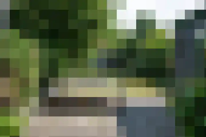 Sweelincklaan 80 Arnhem thumbnail 58