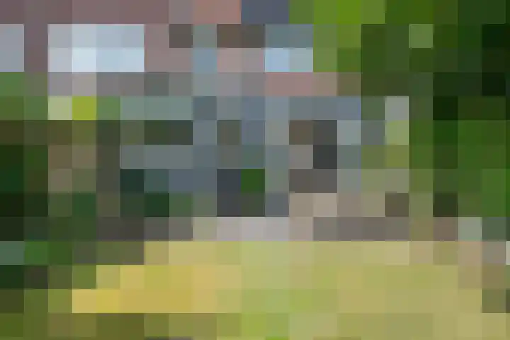 Sweelincklaan 80 Arnhem thumbnail 61