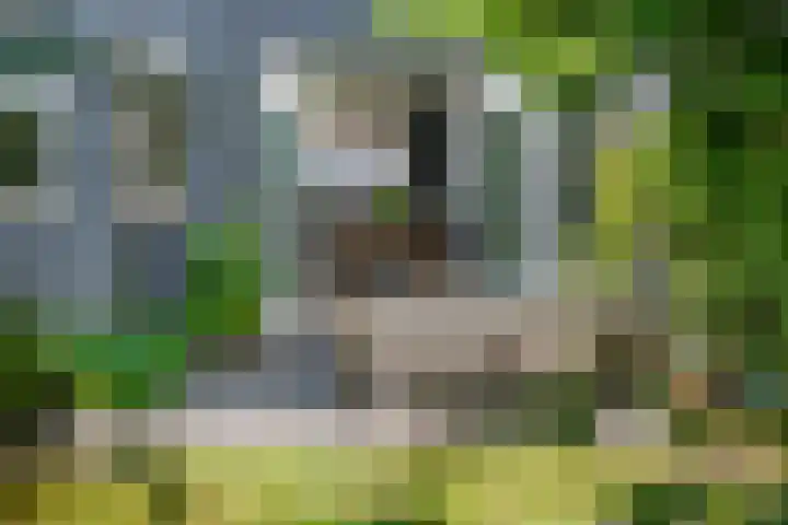 Sweelincklaan 80 Arnhem thumbnail 62