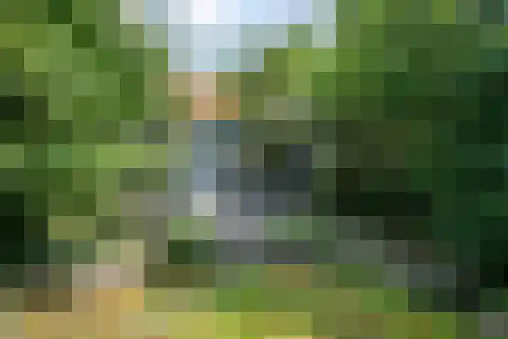 Sweelincklaan 80 Arnhem thumbnail 65