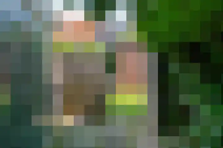 Sweelincklaan 80 Arnhem thumbnail 69