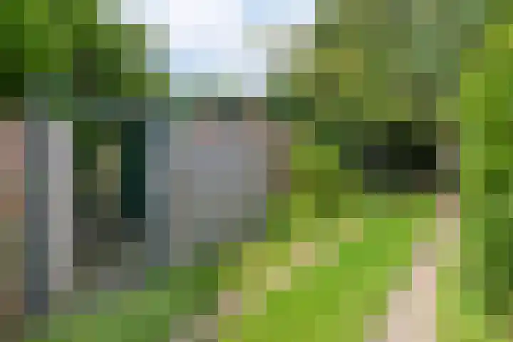 Sweelincklaan 80 Arnhem thumbnail 70