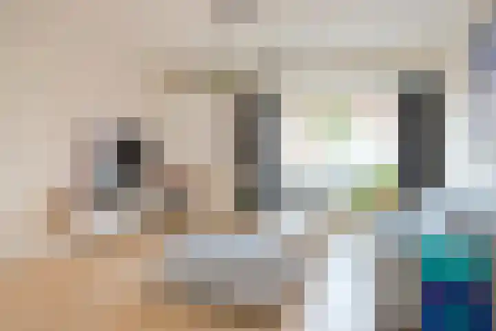 Sweelincklaan 80 Arnhem thumbnail 8