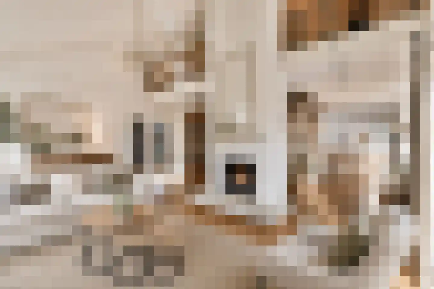 Sweelinckplaats 3 Bergschenhoek thumbnail 12