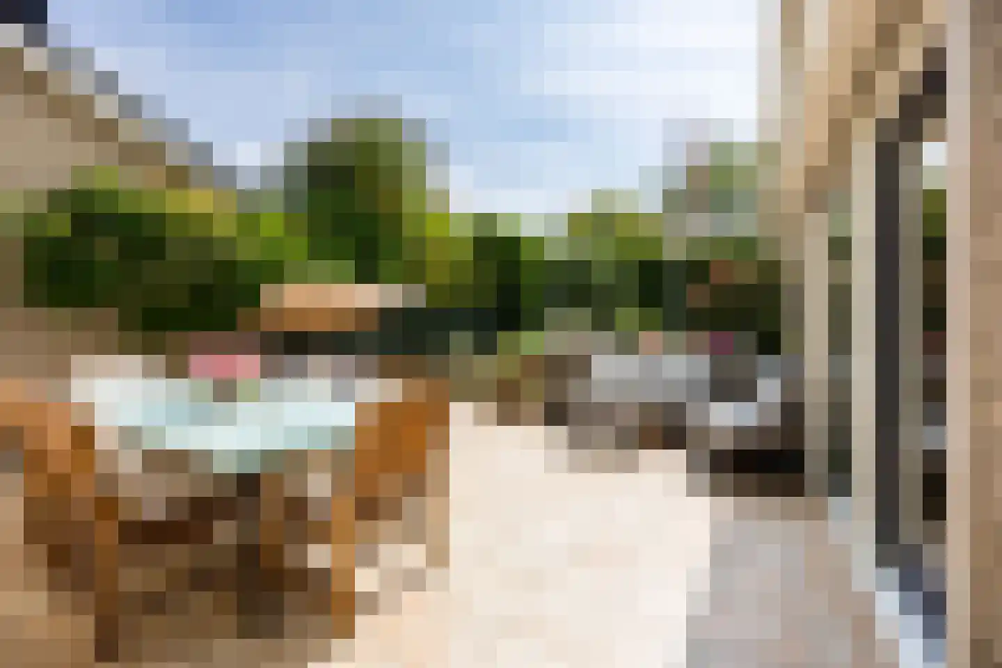 Sweelinckplaats 3 Bergschenhoek thumbnail 16