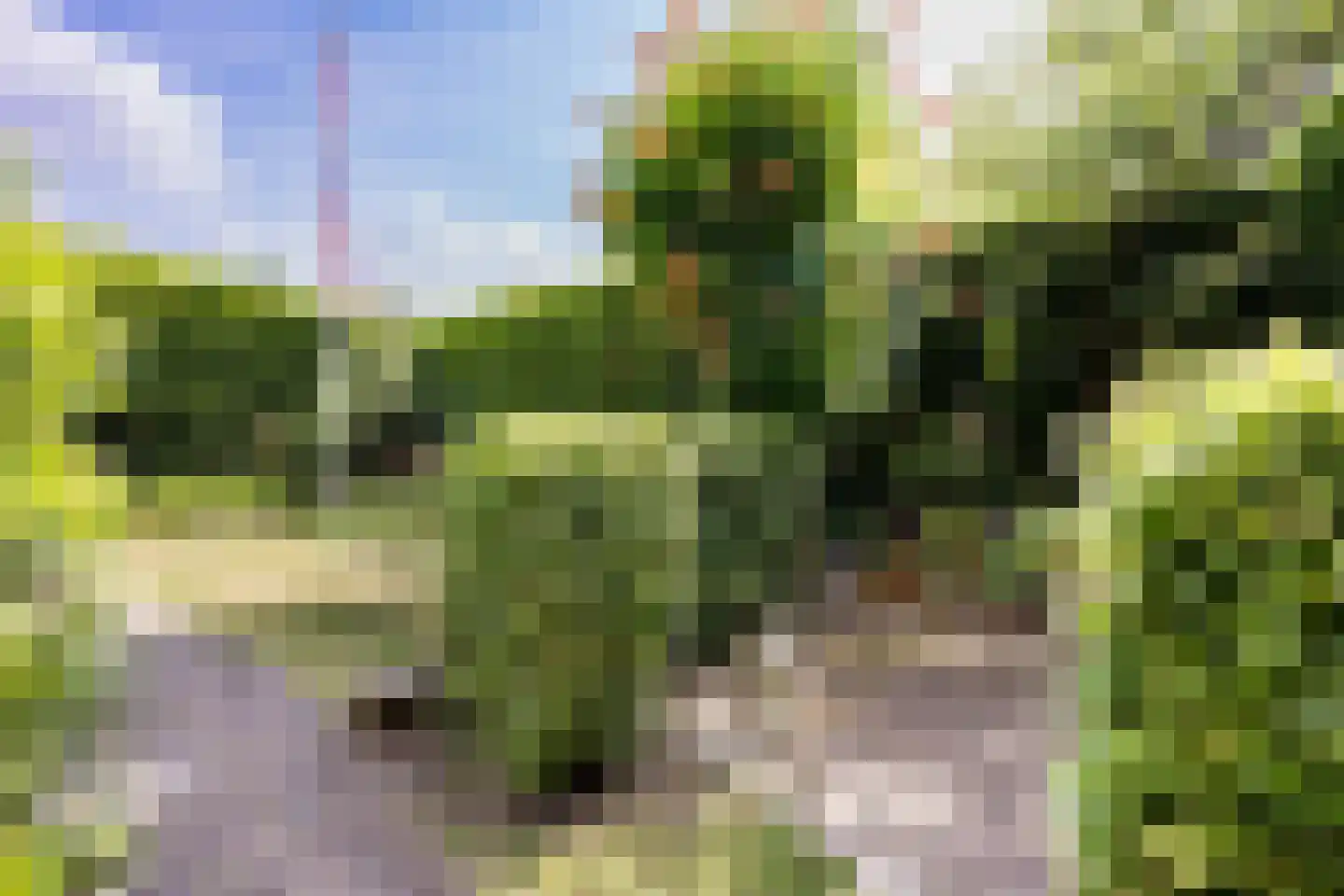 Sweelinckplaats 3 Bergschenhoek thumbnail 19