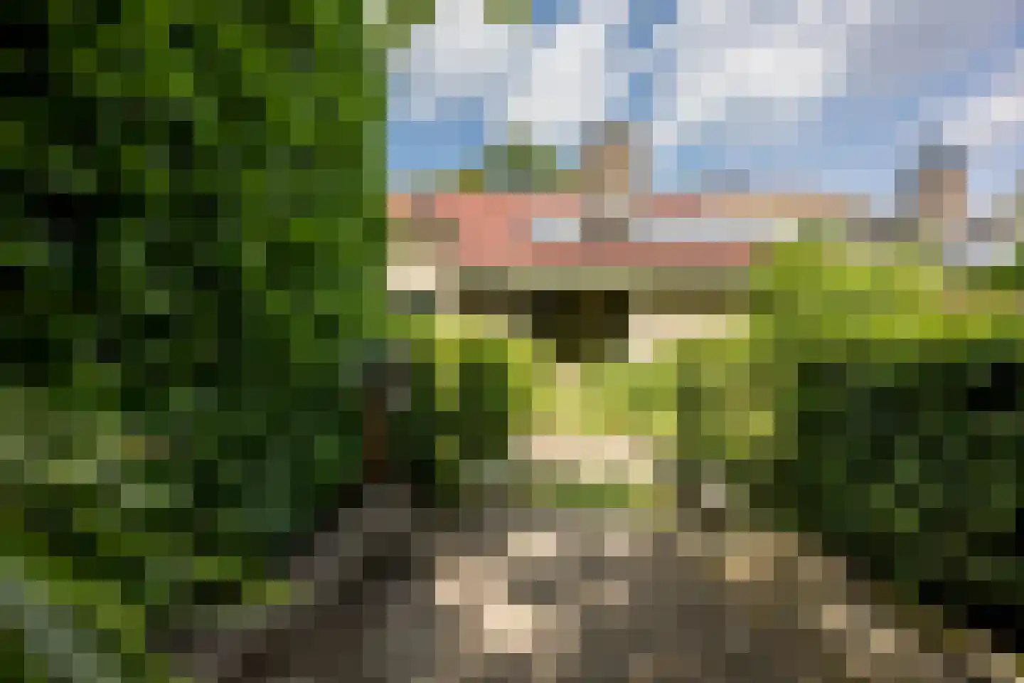 Sweelinckplaats 3 Bergschenhoek thumbnail 20