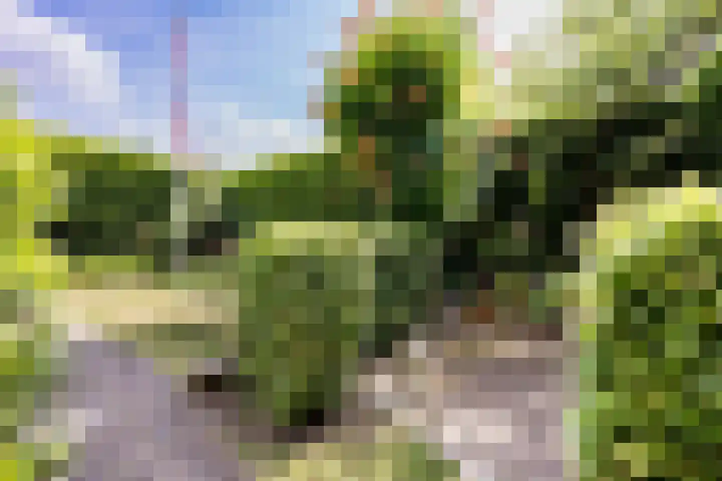 Sweelinckplaats 3 Bergschenhoek thumbnail 20