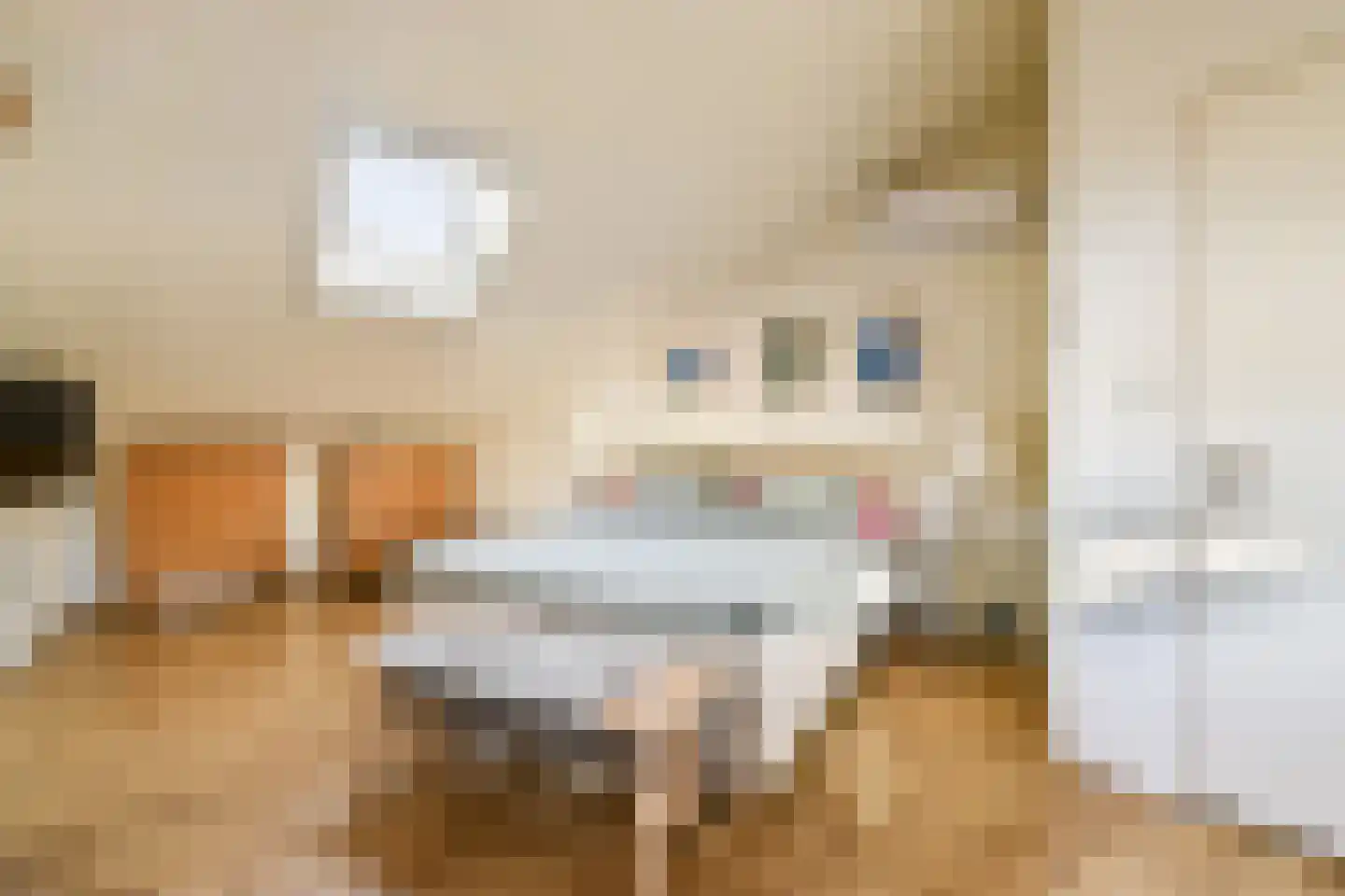 Sweelinckplaats 3 Bergschenhoek thumbnail 30