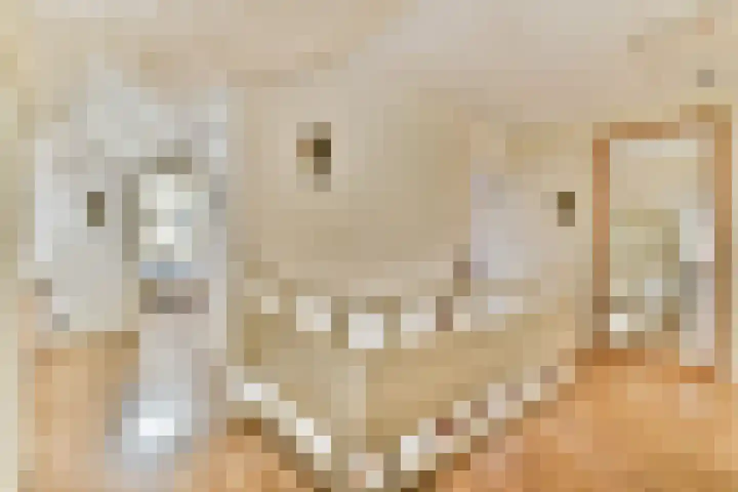 Sweelinckplaats 3 Bergschenhoek thumbnail 31