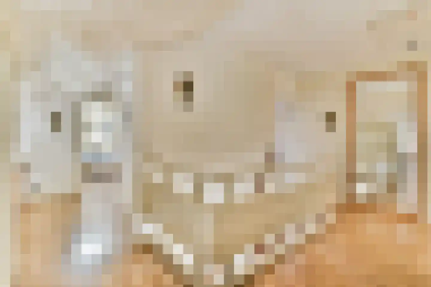 Sweelinckplaats 3 Bergschenhoek thumbnail 32