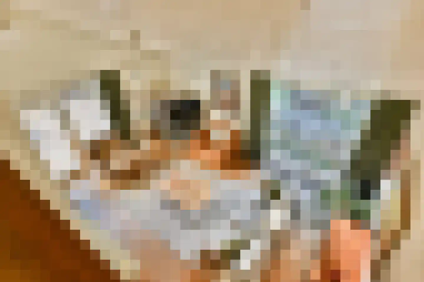 Sweelinckplaats 3 Bergschenhoek thumbnail 33