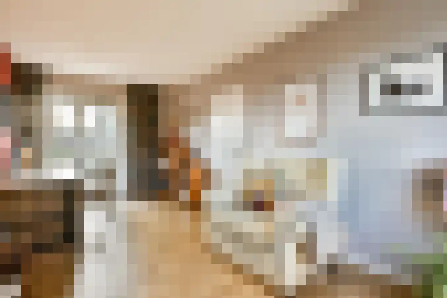 Sweelinckplaats 3 Bergschenhoek thumbnail 35