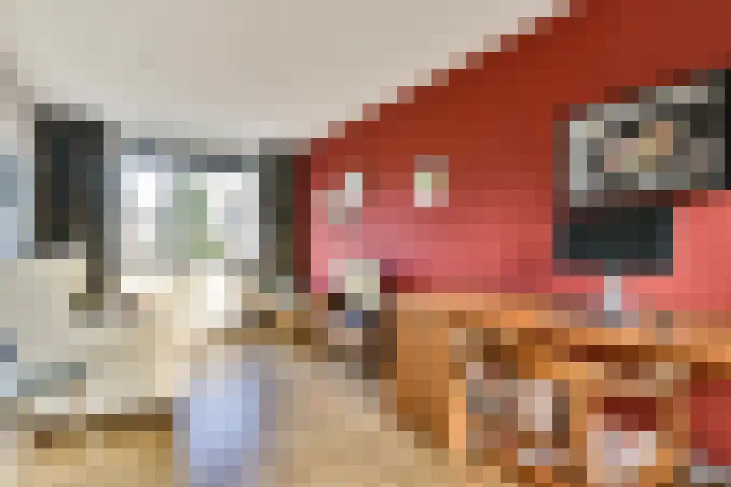 Sweelinckplaats 3 Bergschenhoek thumbnail 35