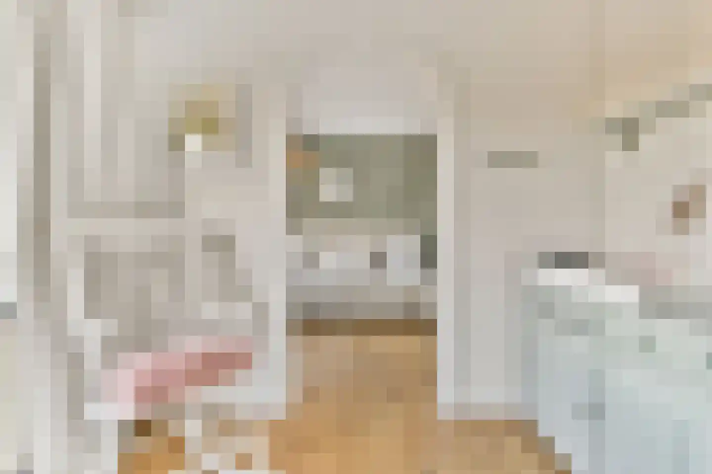 Sweelinckplaats 3 Bergschenhoek thumbnail 39