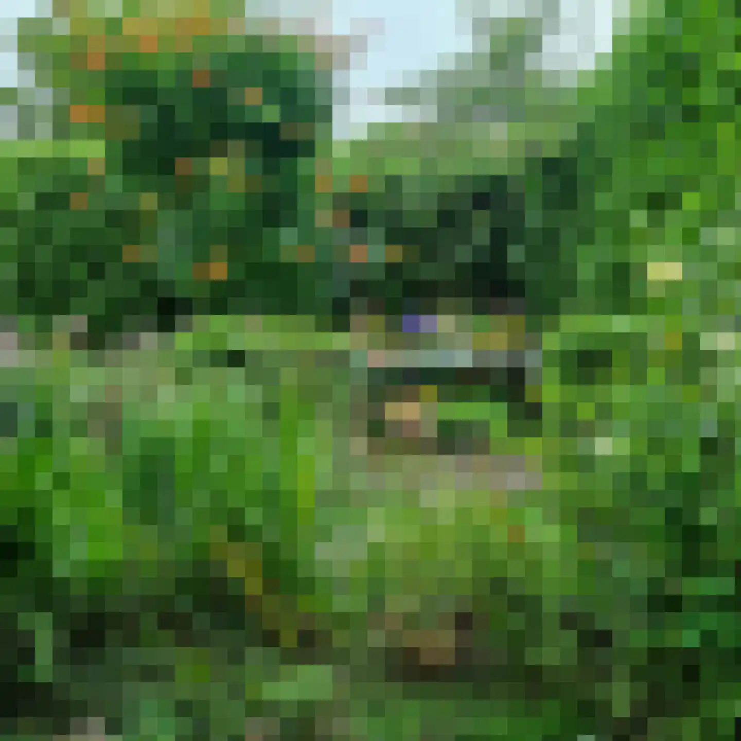 Sweelinckplaats 3 Bergschenhoek thumbnail 42