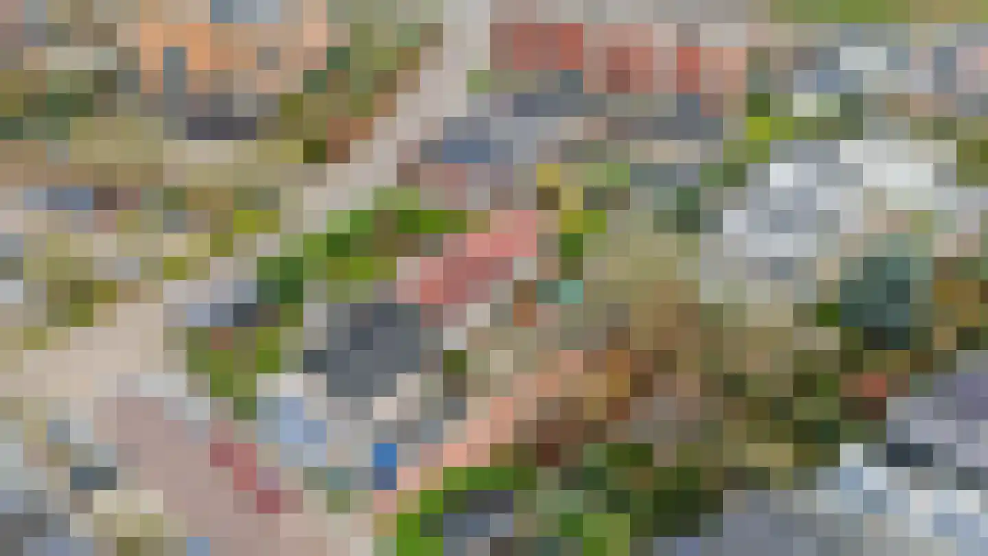 Sweelinckplaats 3 Bergschenhoek thumbnail 43