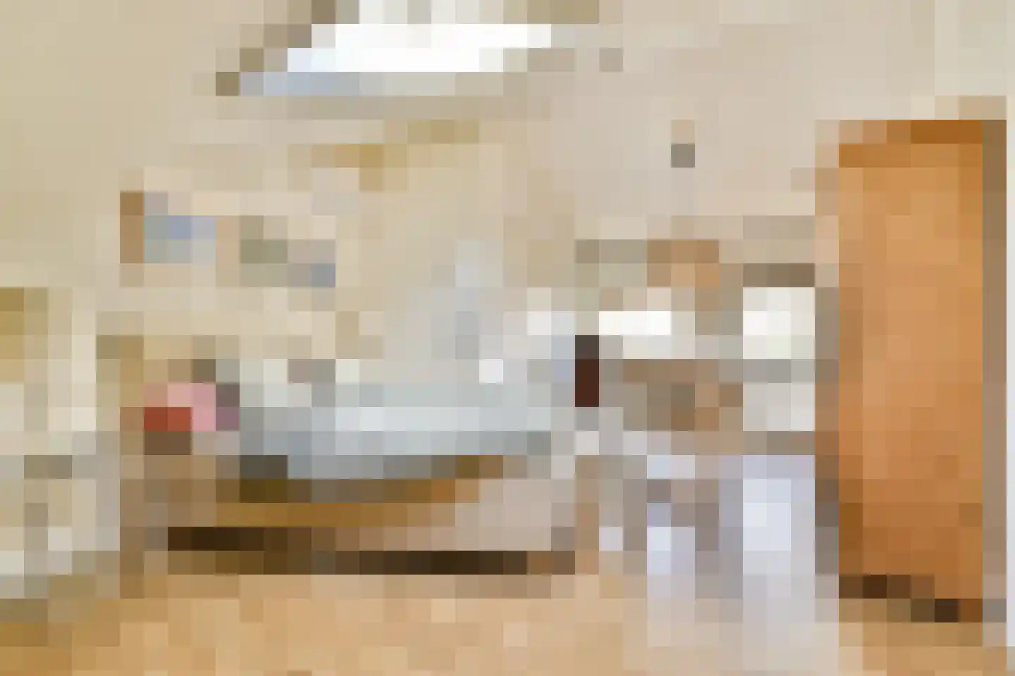Sweelinckplaats 3 Bergschenhoek thumbnail 43
