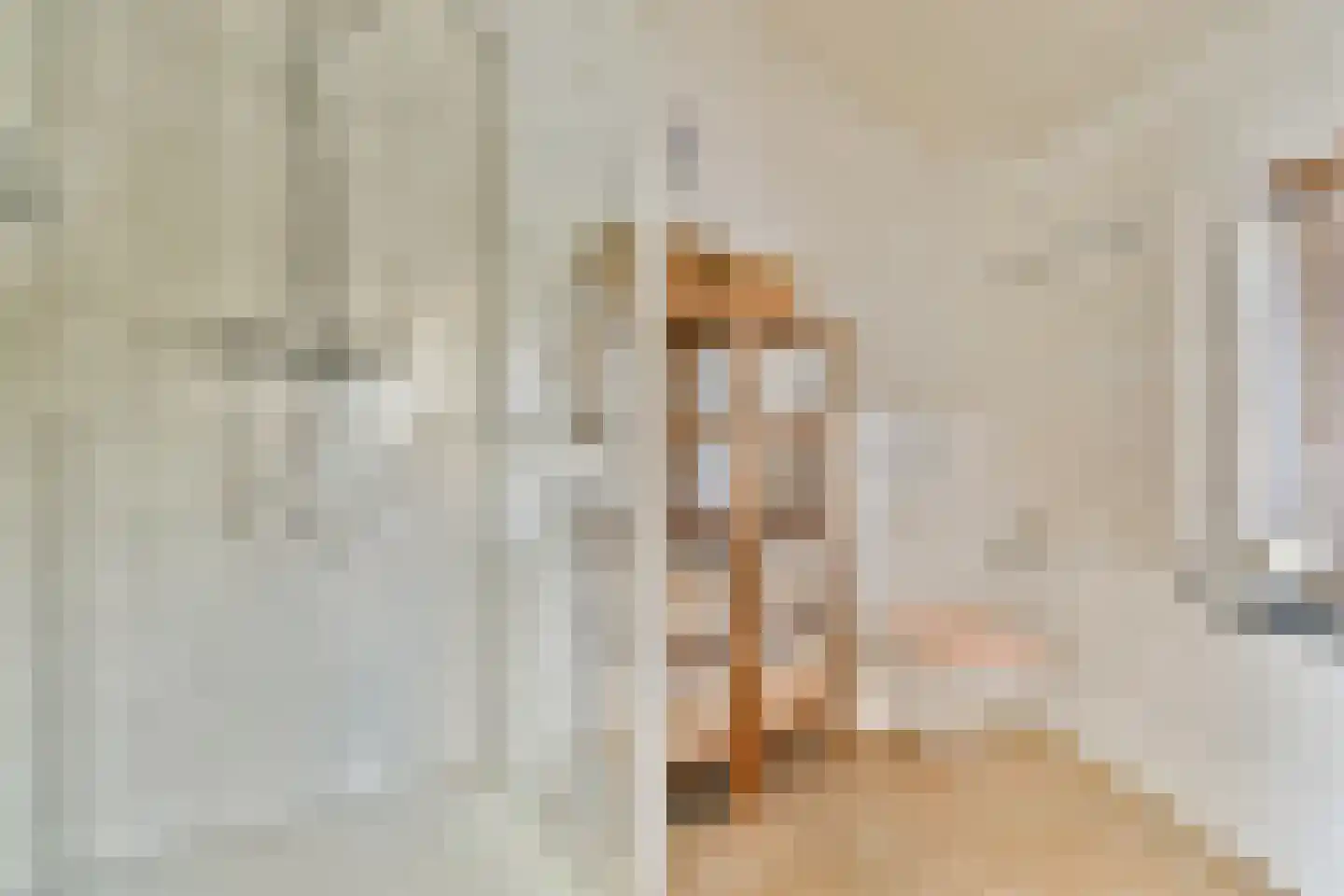 Sweelinckplaats 3 Bergschenhoek thumbnail 45