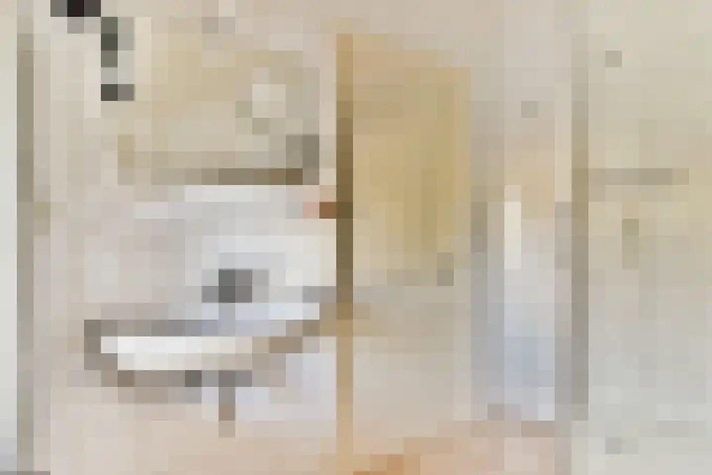 Sweelinckplaats 3 Bergschenhoek thumbnail 46