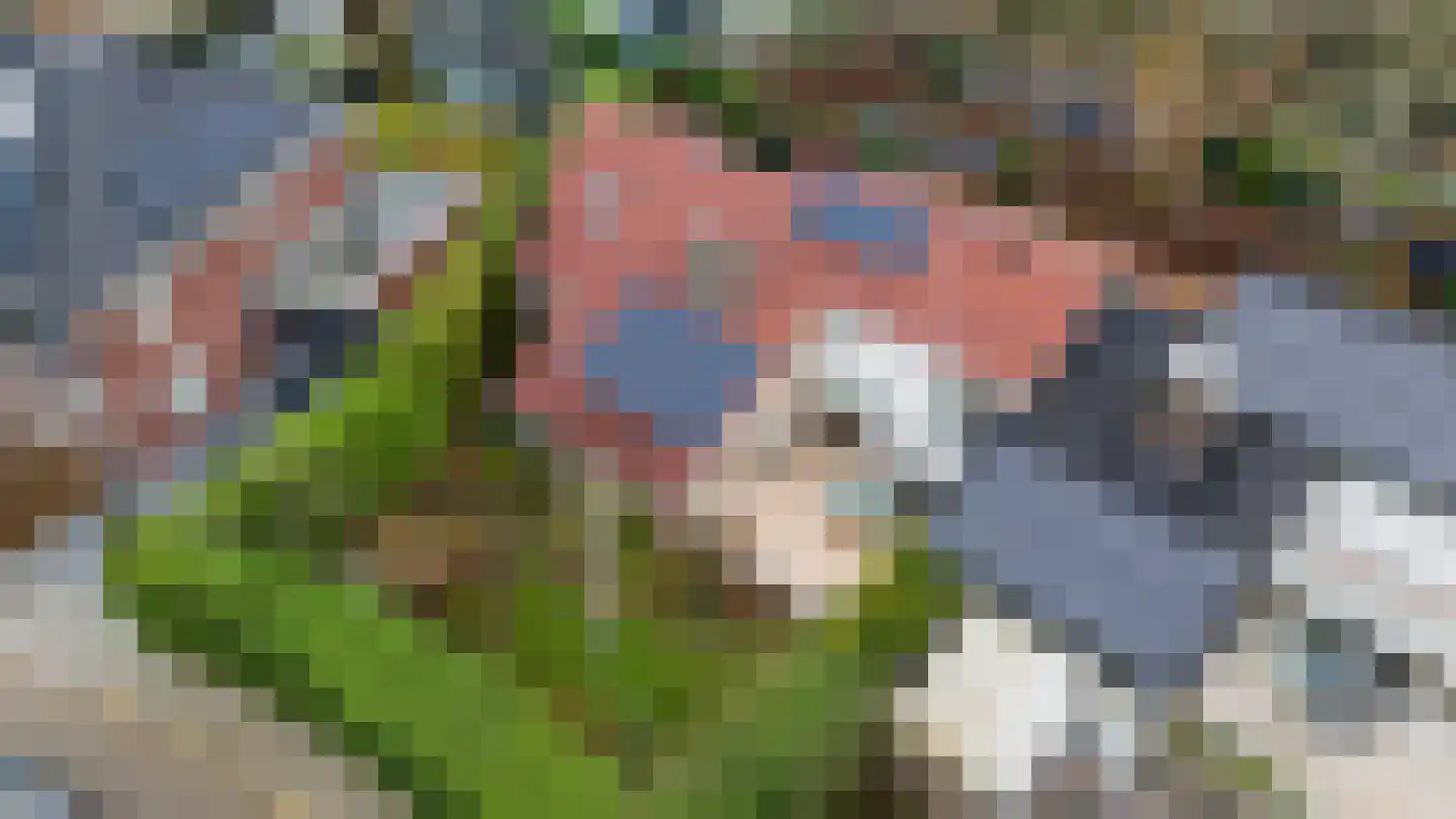 Sweelinckplaats 3 Bergschenhoek thumbnail 5