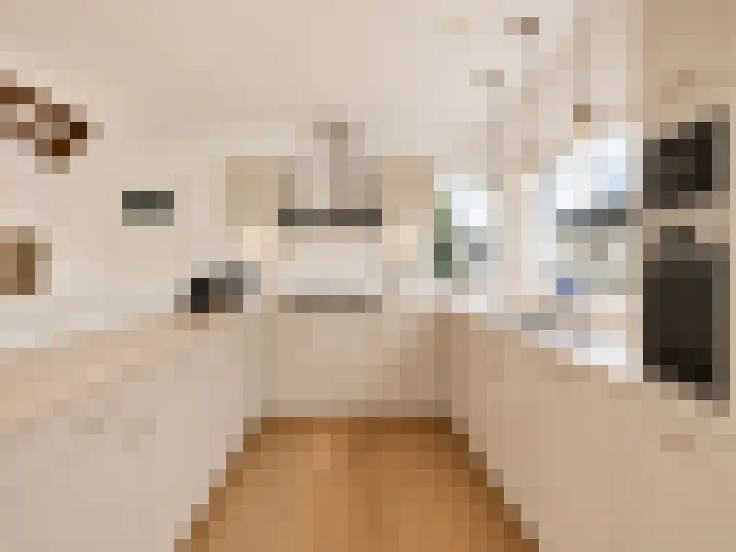 Sweelinckplaats 3 Bergschenhoek thumbnail 8