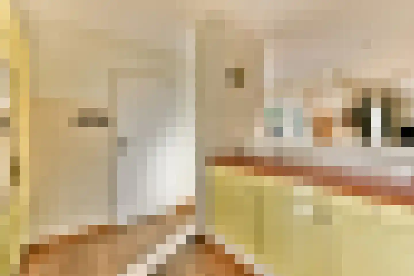 Sweelinckplaats 3 Bergschenhoek thumbnail 9