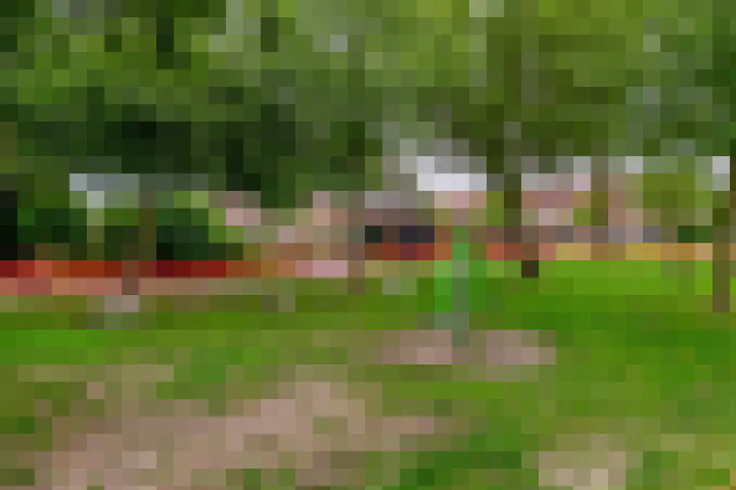 Sweelinckplantsoen 118 Zwijndrecht thumbnail 37