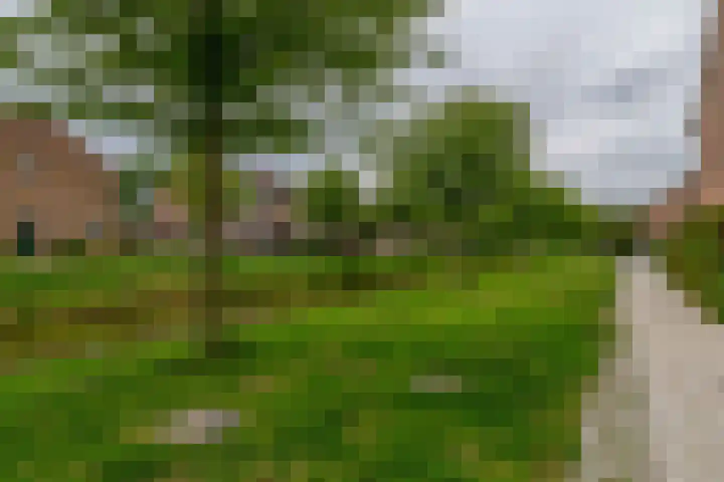 Sweelinckplantsoen 118 Zwijndrecht thumbnail 39