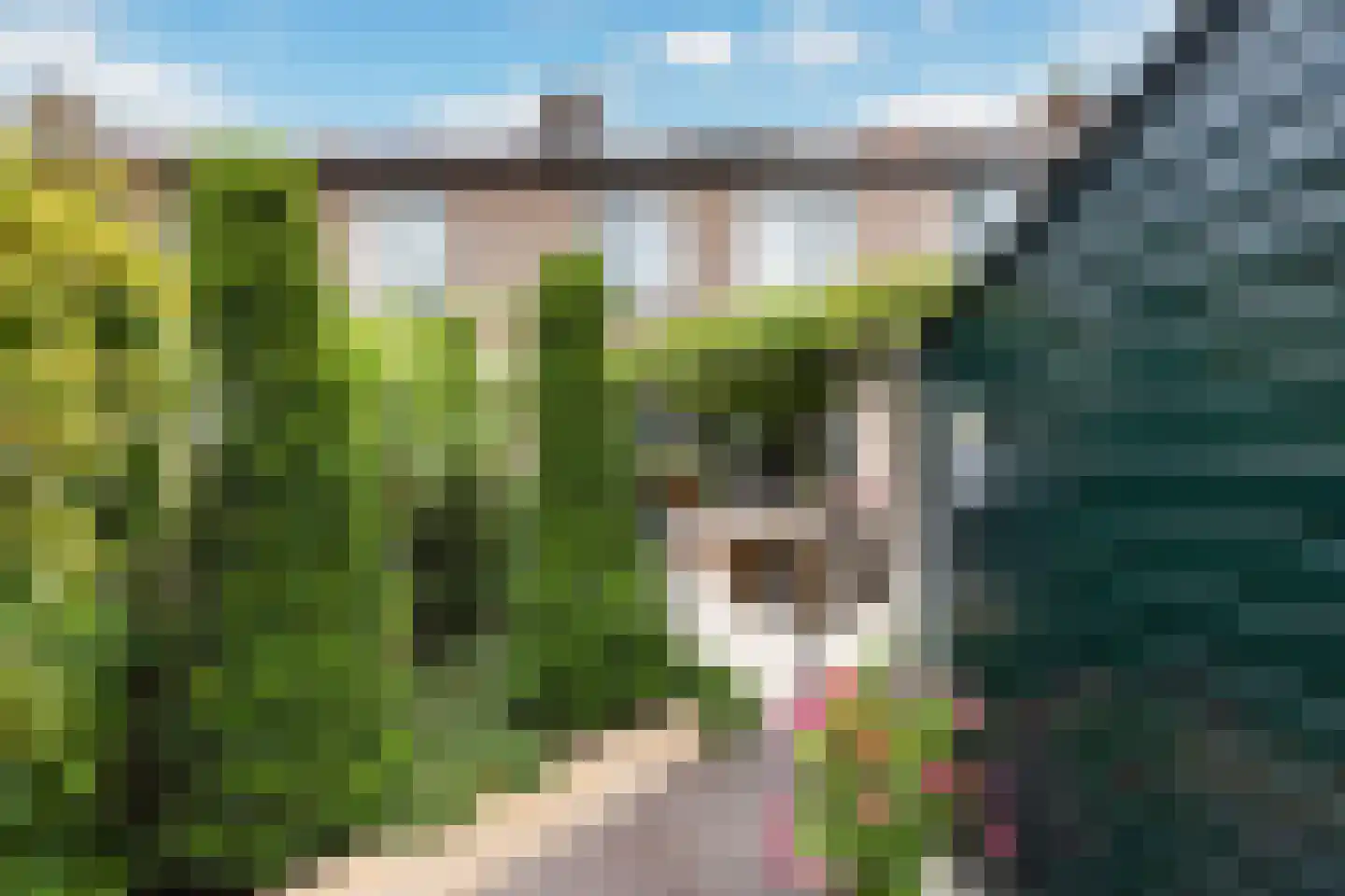 Sweelinckplantsoen 40 Zwijndrecht thumbnail 15