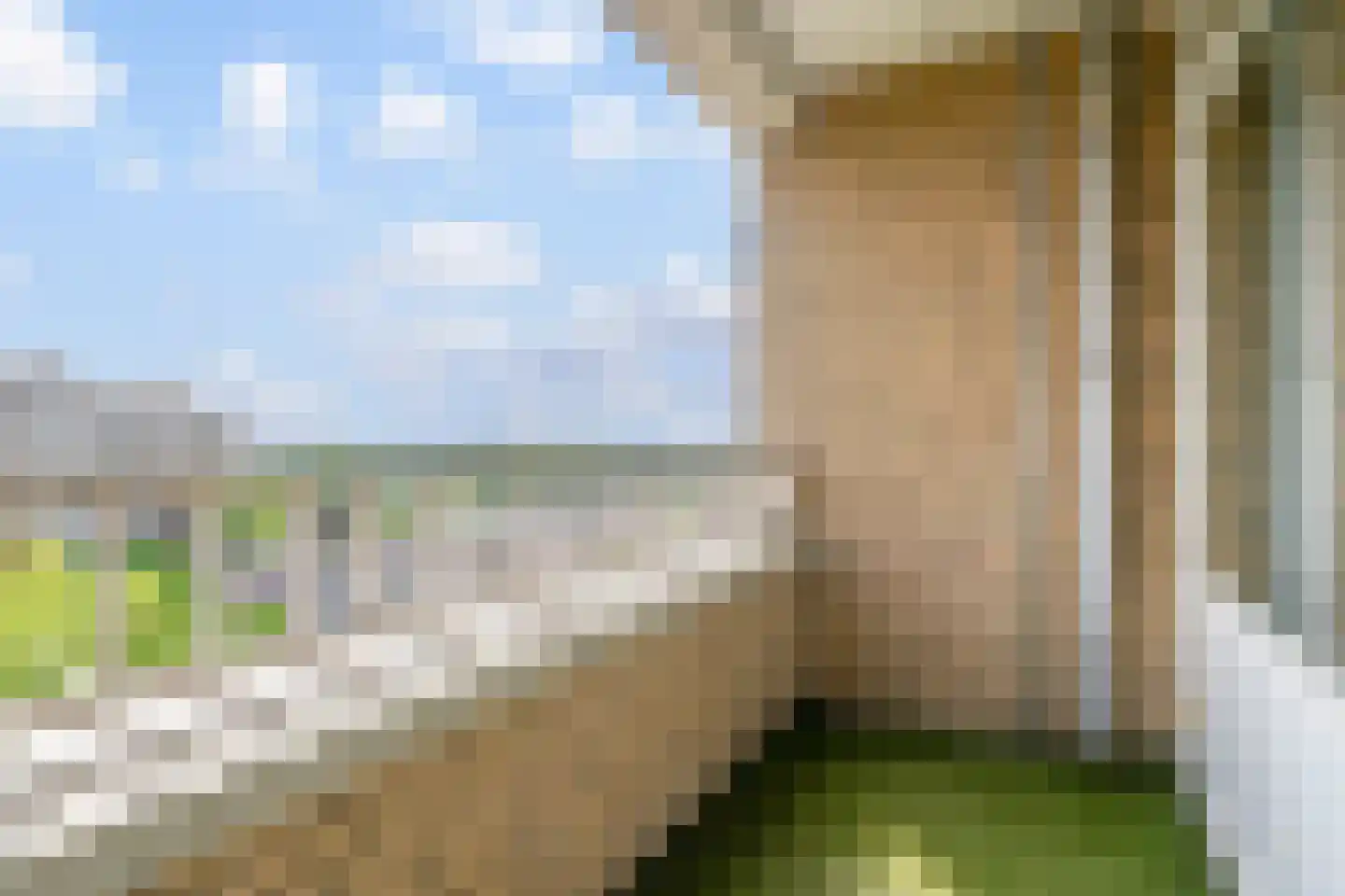Sweelinckplein 103 's-Hertogenbosch thumbnail 12