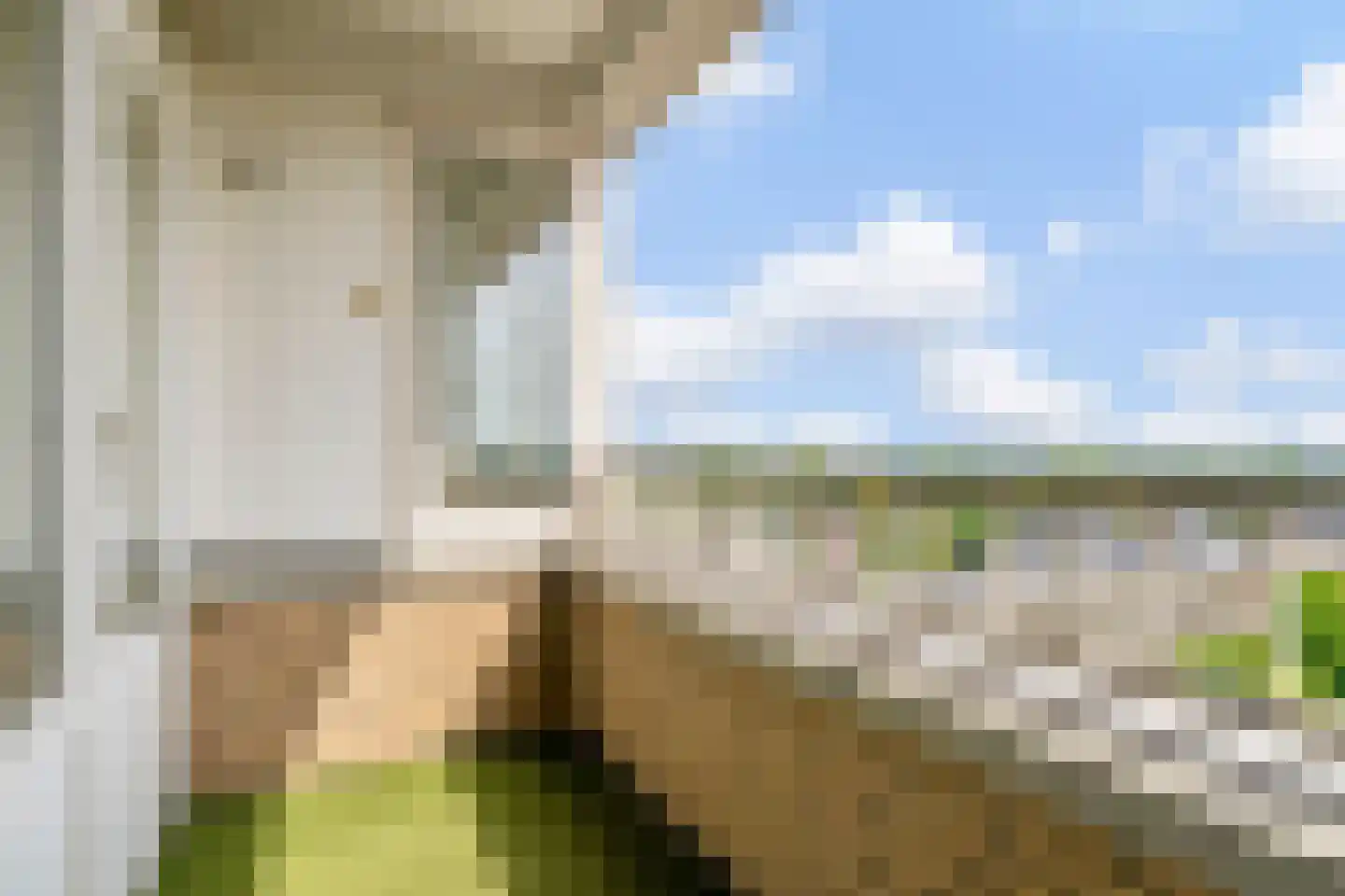Sweelinckplein 103 's-Hertogenbosch thumbnail 13