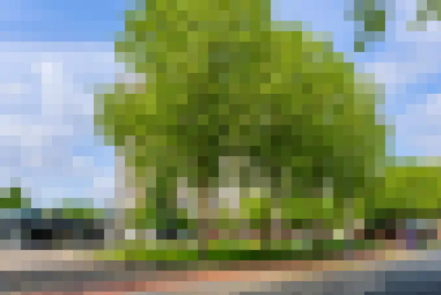Sweelinckplein 103 's-Hertogenbosch thumbnail 27