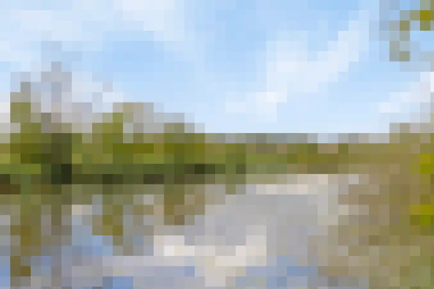 Sweelinckplein 103 's-Hertogenbosch thumbnail 31