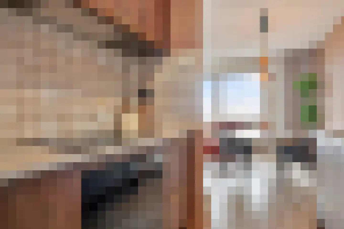 Sweelinckplein 107 's-Hertogenbosch thumbnail 11