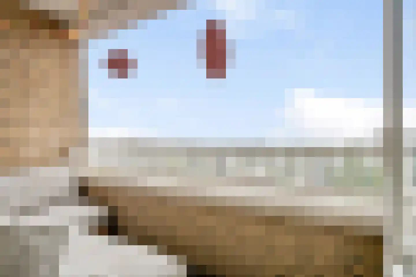 Sweelinckplein 107 's-Hertogenbosch thumbnail 19