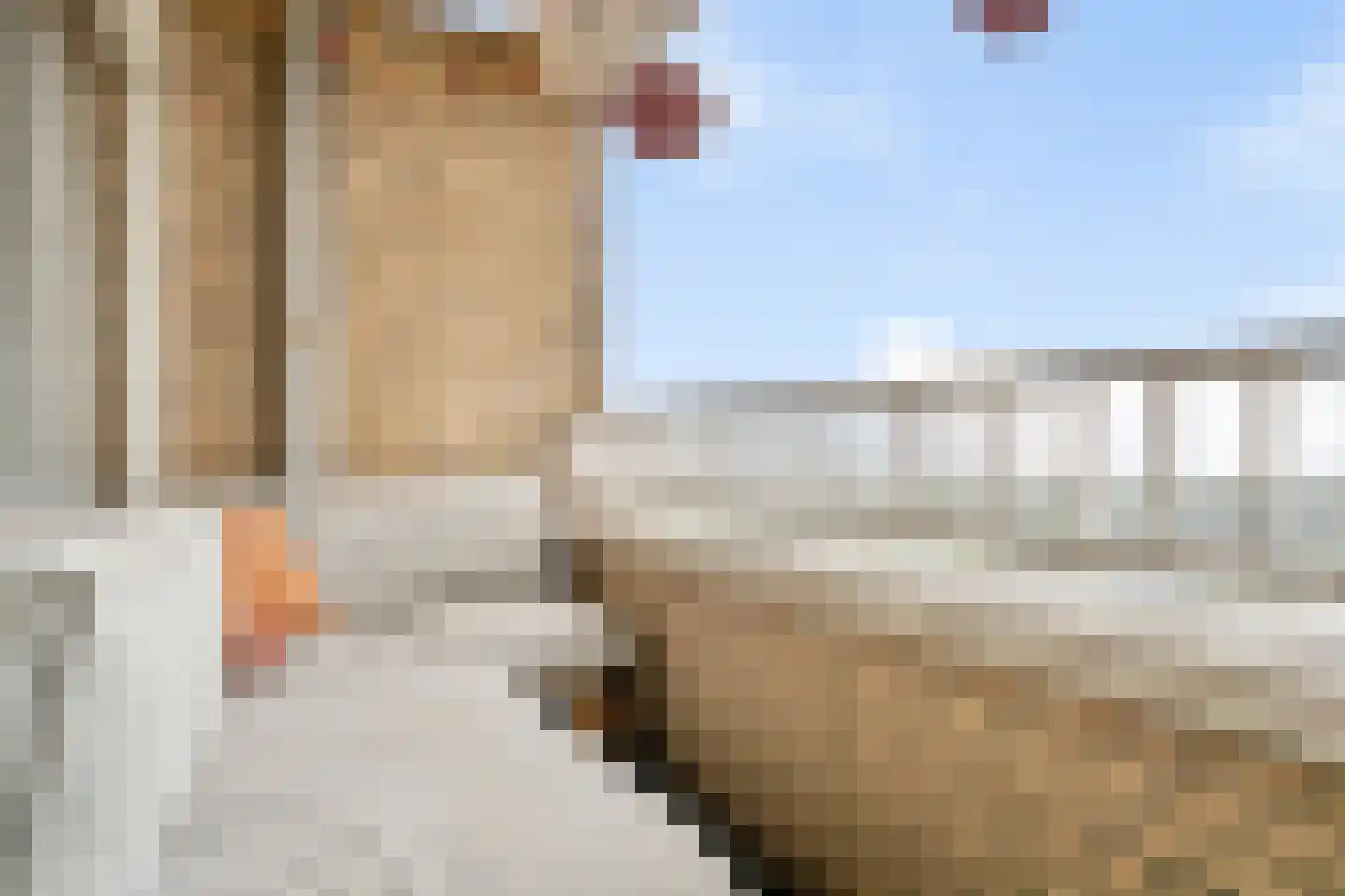 Sweelinckplein 107 's-Hertogenbosch thumbnail 21