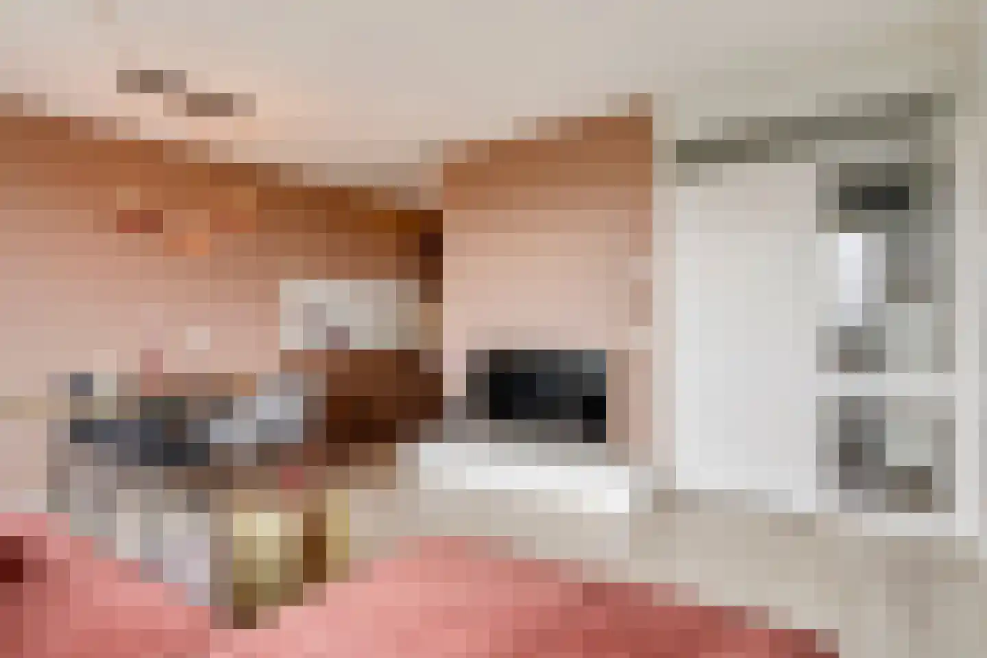 Sweelinckplein 107 's-Hertogenbosch thumbnail 5