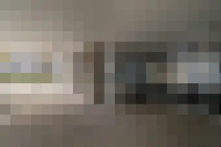 Sweelinckplein 118 's-Hertogenbosch thumbnail 17