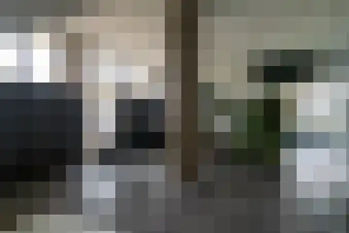Sweelinckplein 118 's-Hertogenbosch thumbnail 19