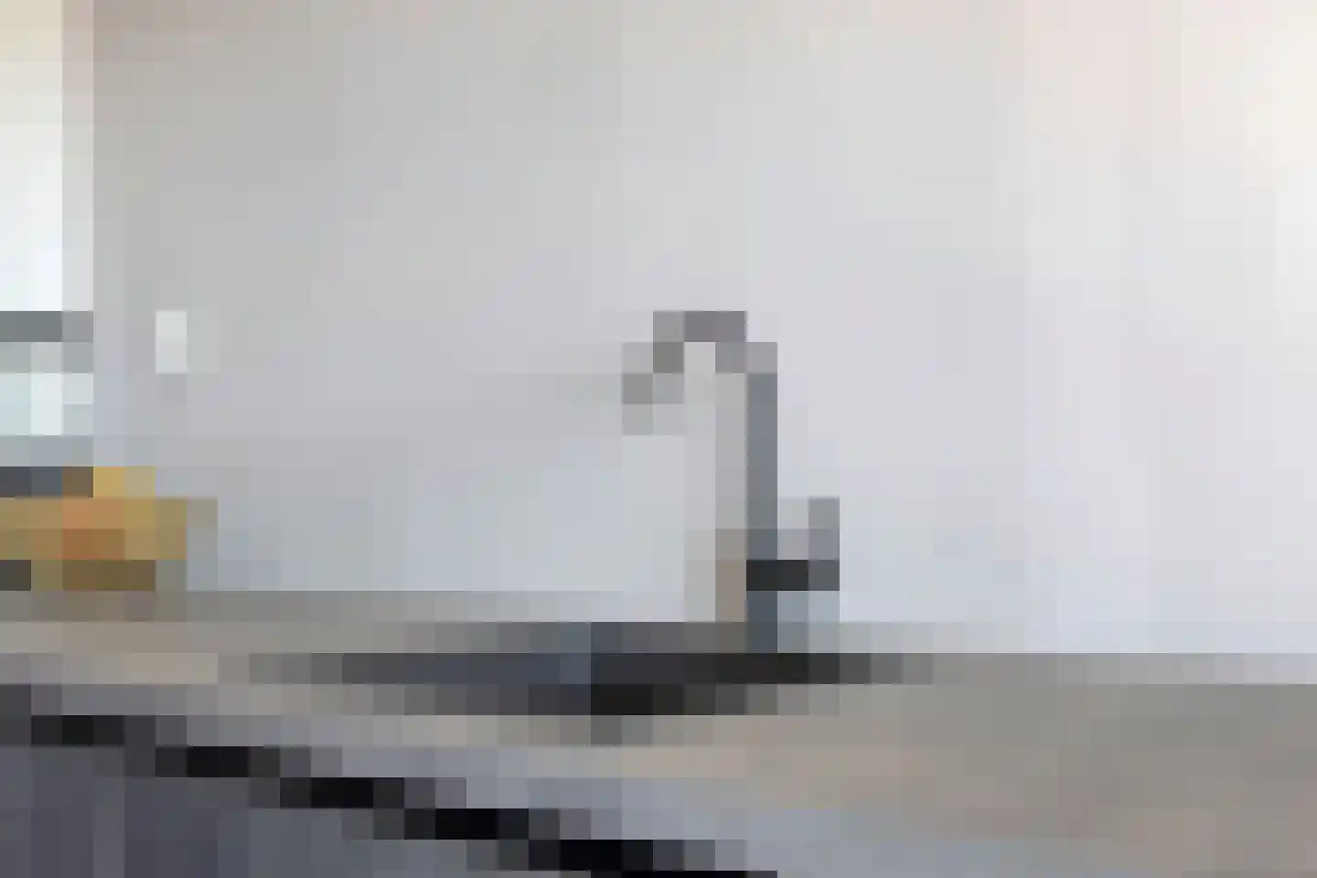 Sweelinckplein 130 's-Hertogenbosch thumbnail 16