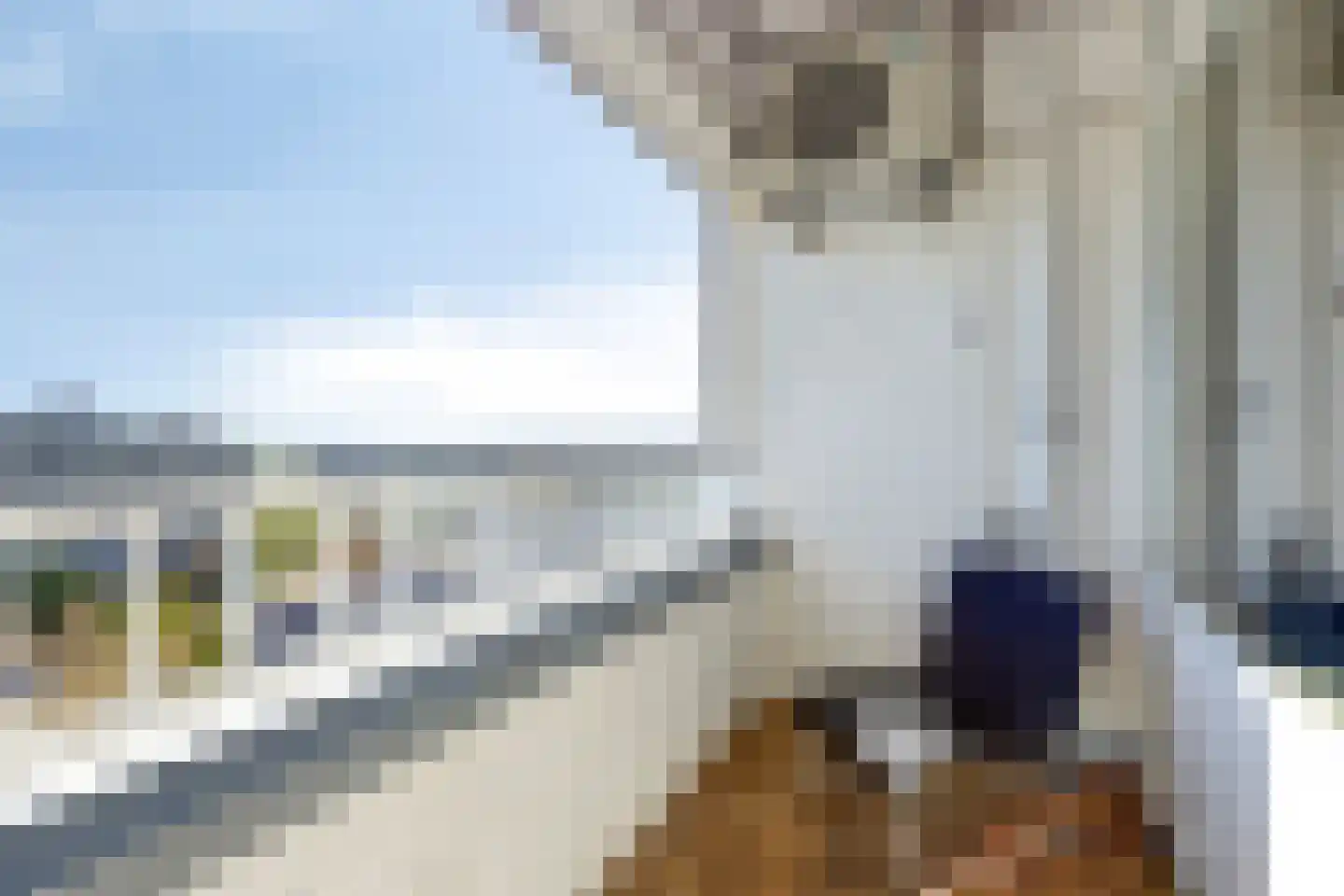 Sweelinckplein 130 's-Hertogenbosch thumbnail 26