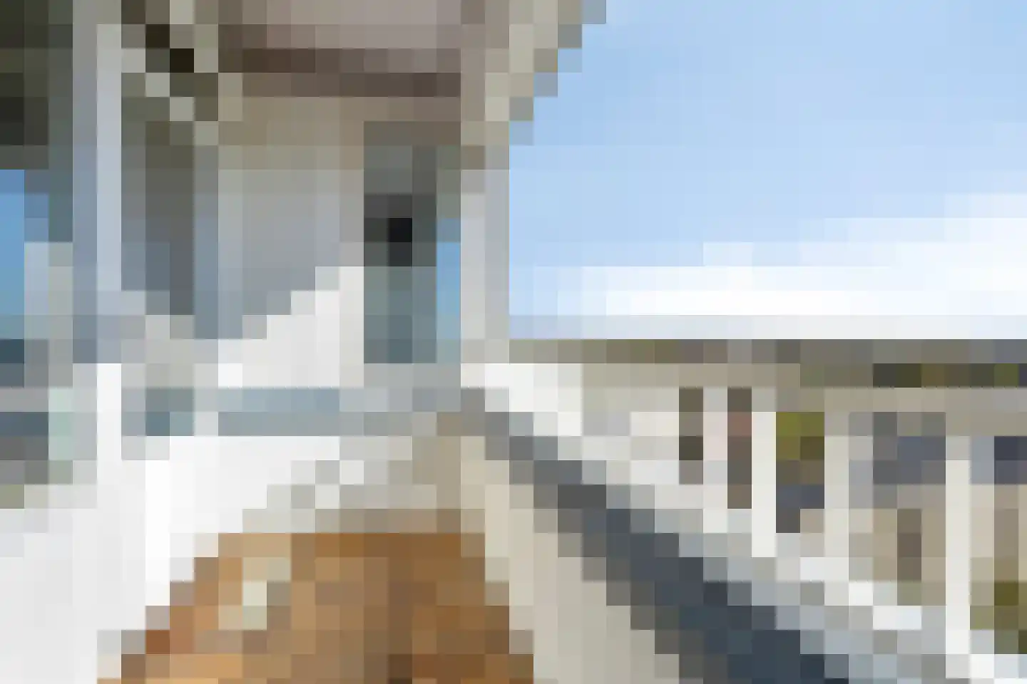 Sweelinckplein 130 's-Hertogenbosch thumbnail 27