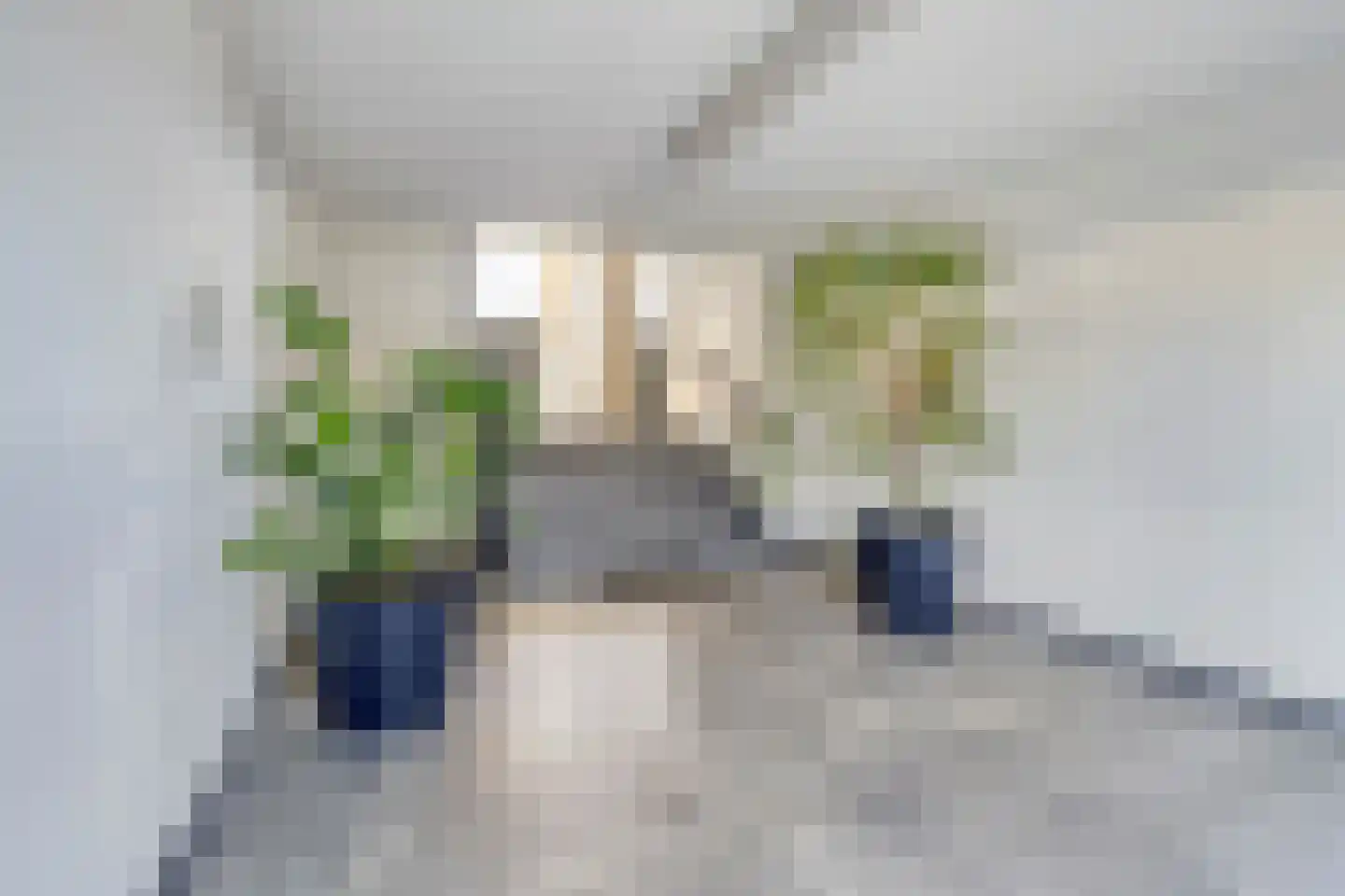 Sweelinckplein 130 's-Hertogenbosch thumbnail 32